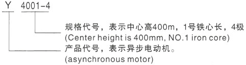 西安泰富西玛Y系列(H355-1000)高压YE2-132S2-2三相异步电机型号说明