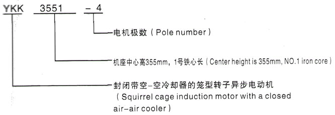 YKK系列(H355-1000)高压YE2-132S2-2三相异步电机西安泰富西玛电机型号说明