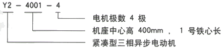 YR系列(H355-1000)高压YE2-132S2-2三相异步电机西安西玛电机型号说明